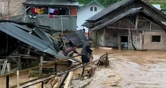 Penangkaran di Cianjur Jebol, Buaya Masuk Rumah Warga